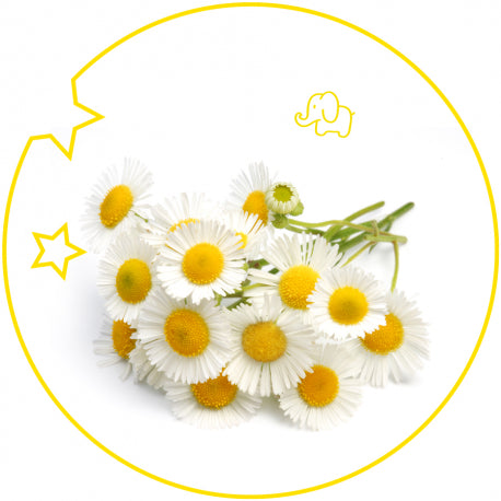 Colonia da bimbi 125 ml