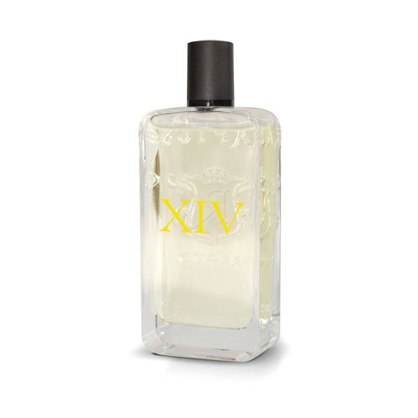 Profumo Raptus XIV