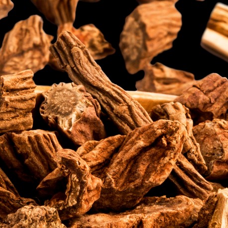 Profumo Maschile - ROOT
