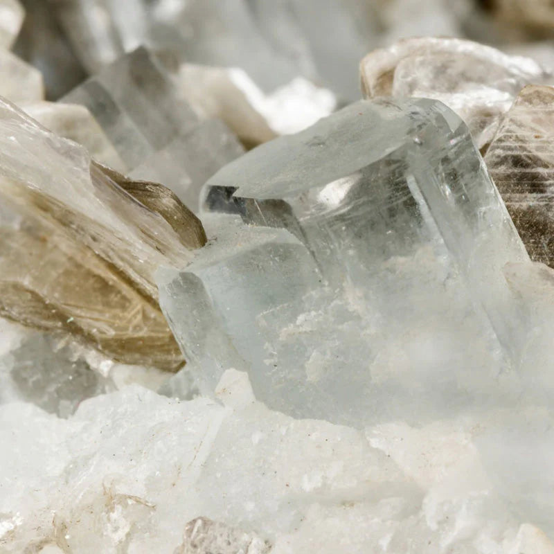 Profumo femminile - Tayda