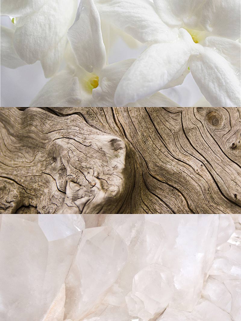 Profumo Femminile - IRIS