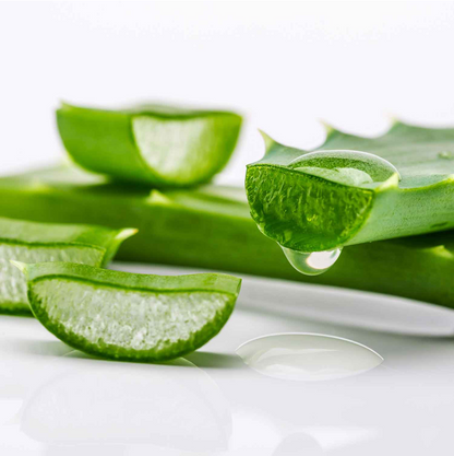 Topper Bed Memory Foam in Aloe Vera Singolo cm.  80x190x4