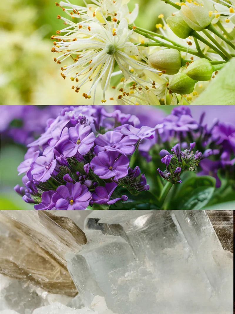 Profumo femminile - Tayda