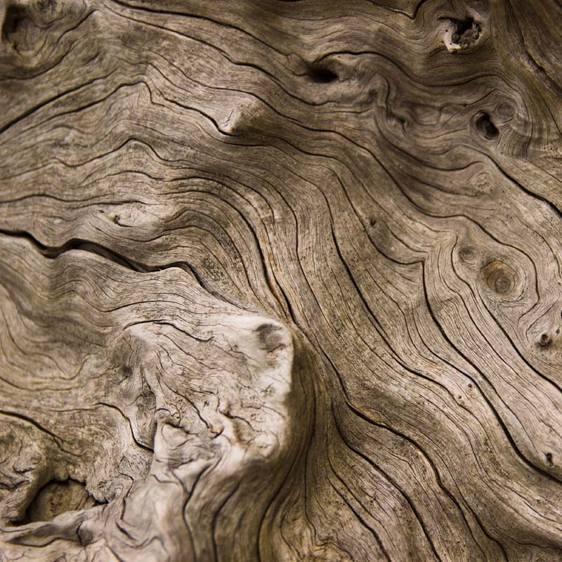 Profumo Maschile - OSEUS